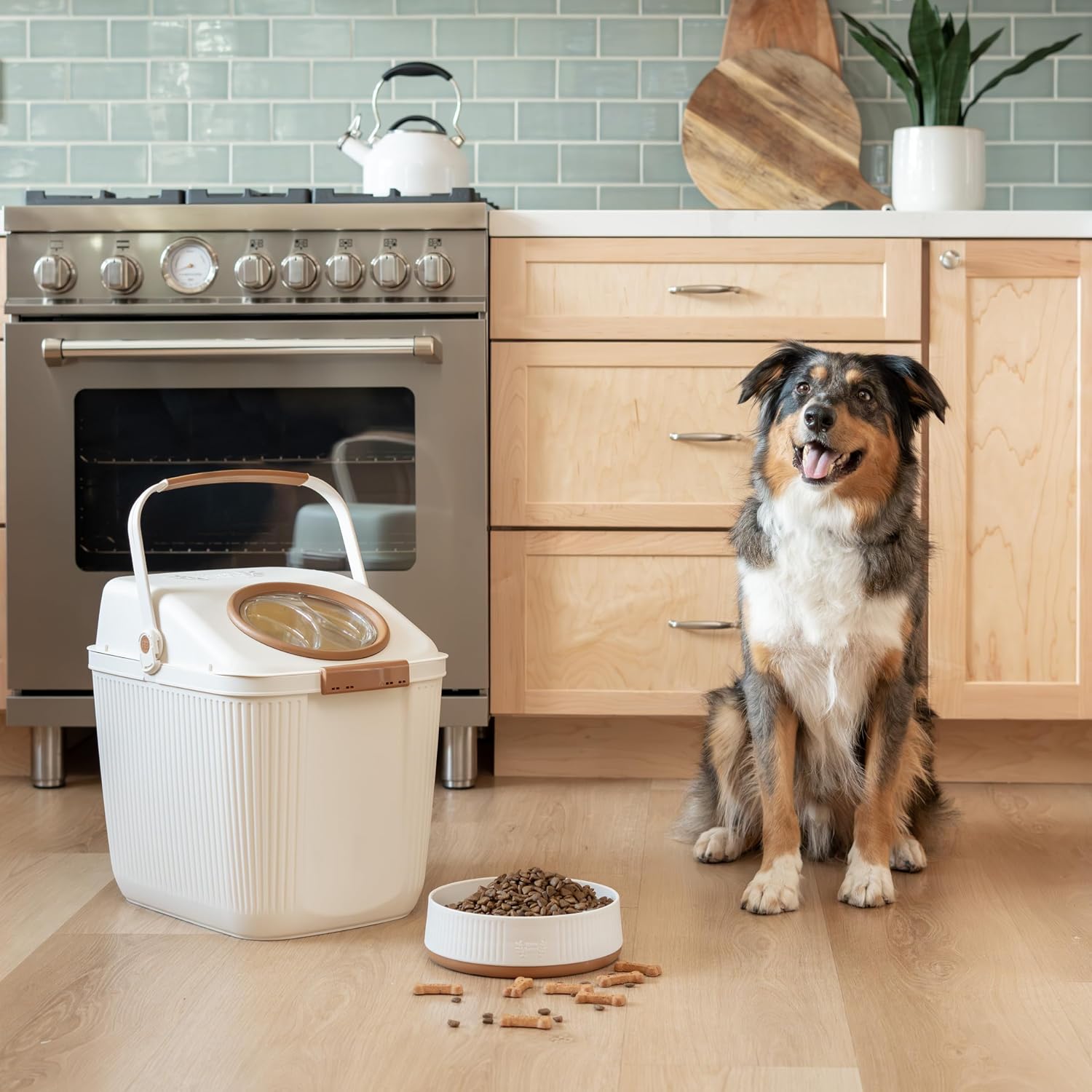 Harry Barker Large Modern Dog Bowls, 2-Pack Eco-Friendly Plastic Pet Food & Water Bowls, Non-Slip Base, Dishwasher Safe, BPA-Free, Neutral Design, Holds 9 Cups Each
