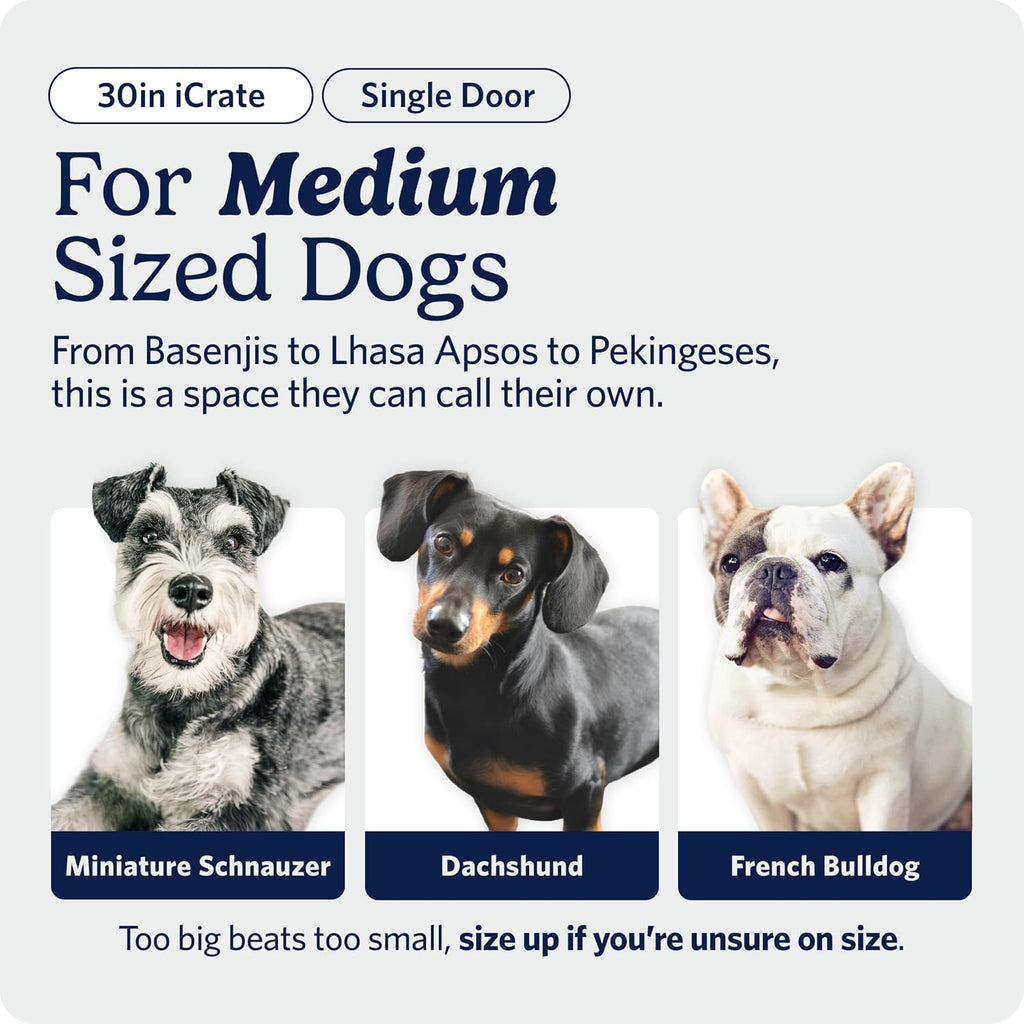MidWest Homes for Pets 30-Inch iCrate for Medium Breeds, 21-40 lbs, Single Door Folding Dog Crate with Divider Panel, Leak-Proof Tray & Secure Latch, Portable, Durable & Easy to Assemble
