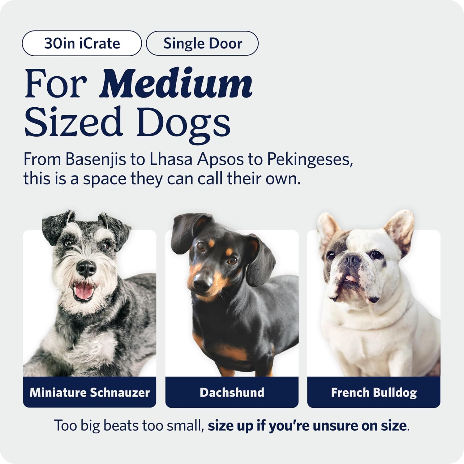 MidWest Homes for Pets 30-Inch iCrate for Medium Breeds, 21-40 lbs, Single Door Folding Dog Crate with Divider Panel, Leak-Proof Tray & Secure Latch, Portable, Durable & Easy to Assemble