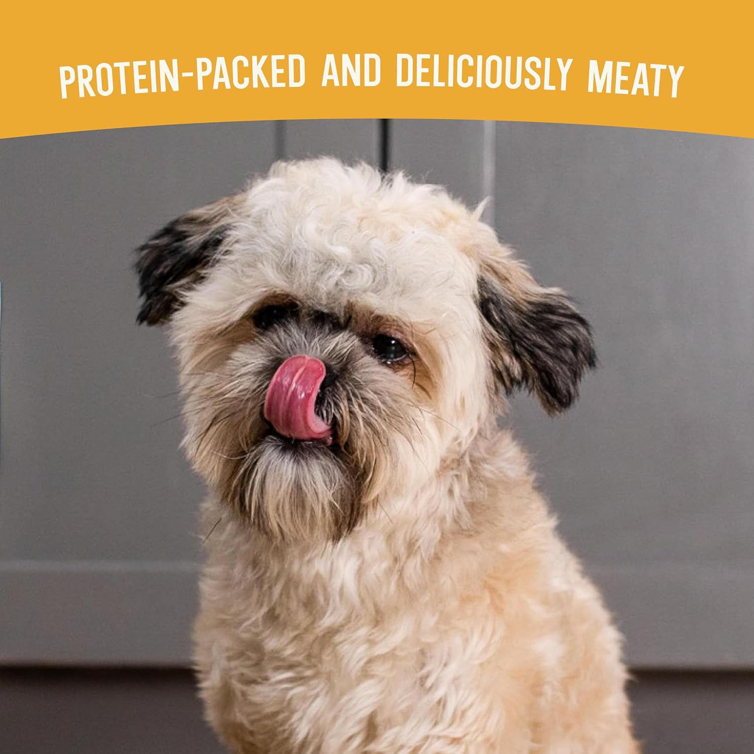 Open Farm Air Dried Dog Food, Grain-Free Harvest Chicken Recipe, 2lb Bag | Complete Meal or Topper, Jerky-Like Texture, Bone Broth Infused, 100% Traceable Ingredients, Non-GMO Fruits & Veggies.