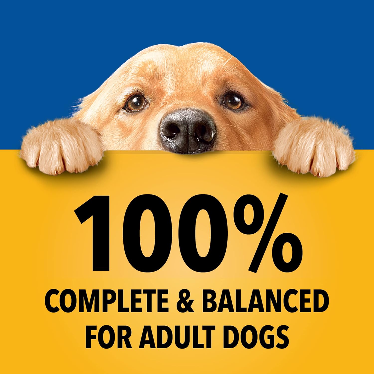 Pedigree Chopped Dinner Wet Dog Food Pouch, Variety Pack, 3.5 oz, 18 Count | Chicken, Beef, Bacon & Filet Mignon, no added sugar, no artificial flavors, serve as topper or complete meal, steam cooked