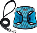 BOOMIBOO Dog Harness with Leash Set, No Pull Adjustable Reflective Step-in Puppy Pet Vest Harnesses for Small Medium Large Dogs and Cats,Blue Stripe XXS