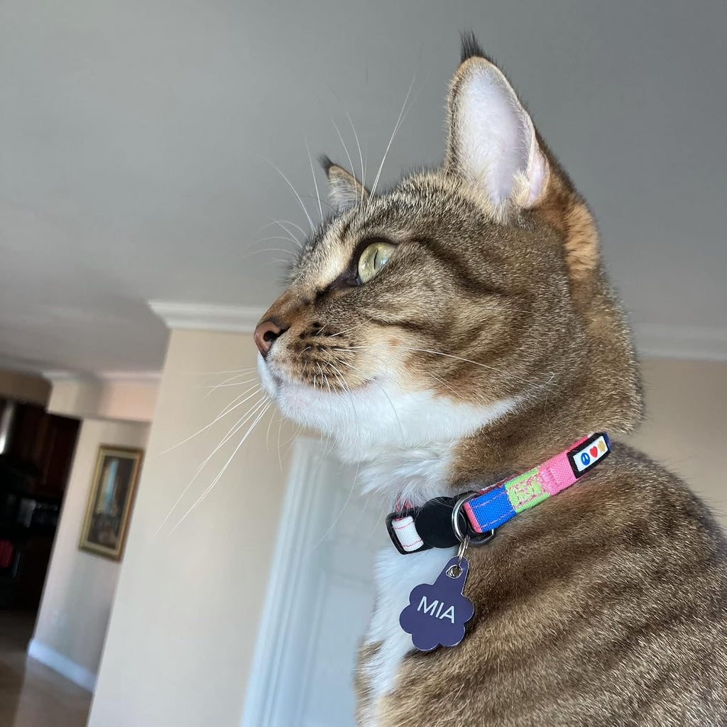 Pawtitas Pet Multicolor Cat Collar Teal/Pink/Purple with Safety Buckle and Removable Bell for Cats and Kittens