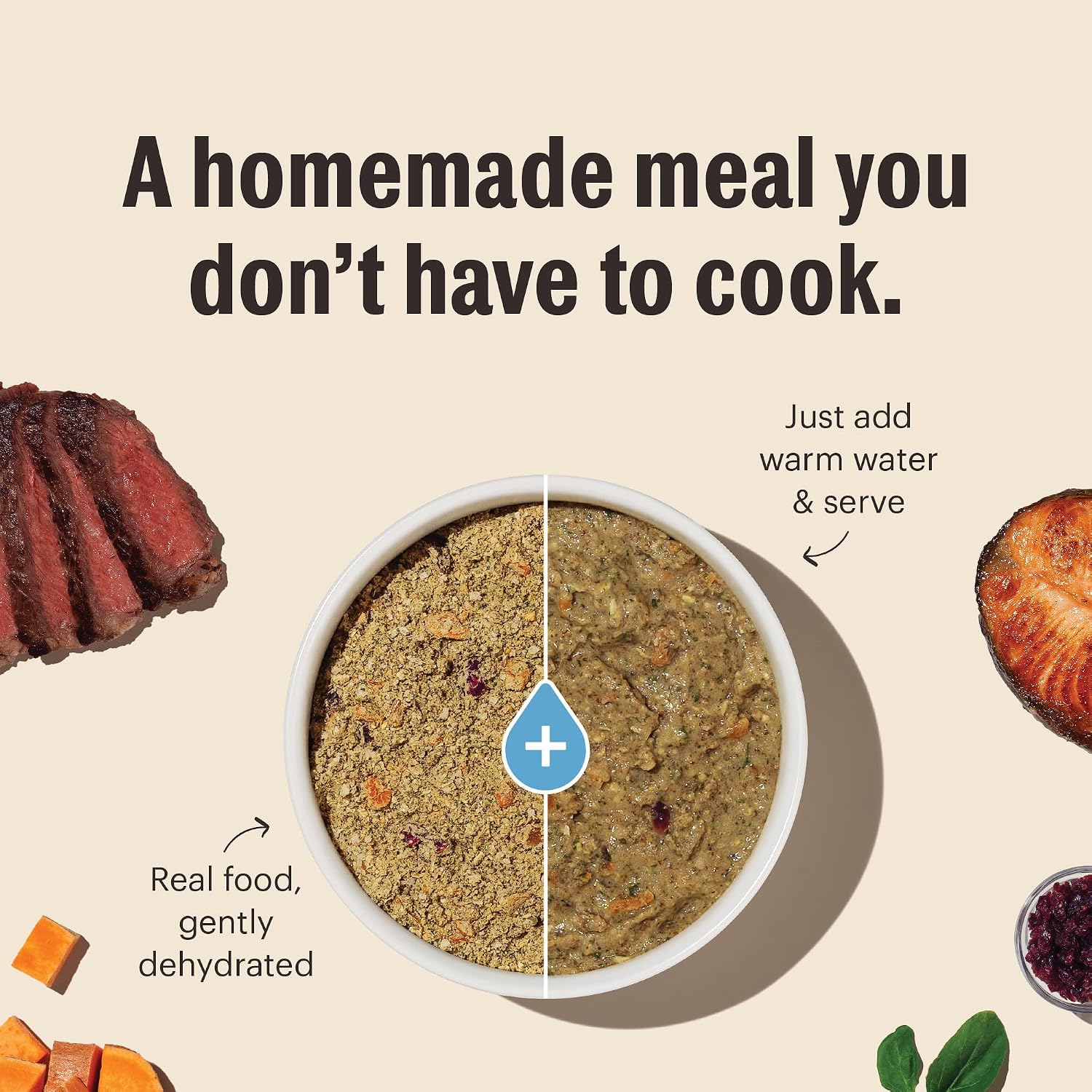 The Honest Kitchen Human Grade Wholemade™ Dehydrated Whole Grain Dog Food - Complete & Balanced Meal or Topper - Beef & Oat, 10 Pound (Makes 40 Pounds)