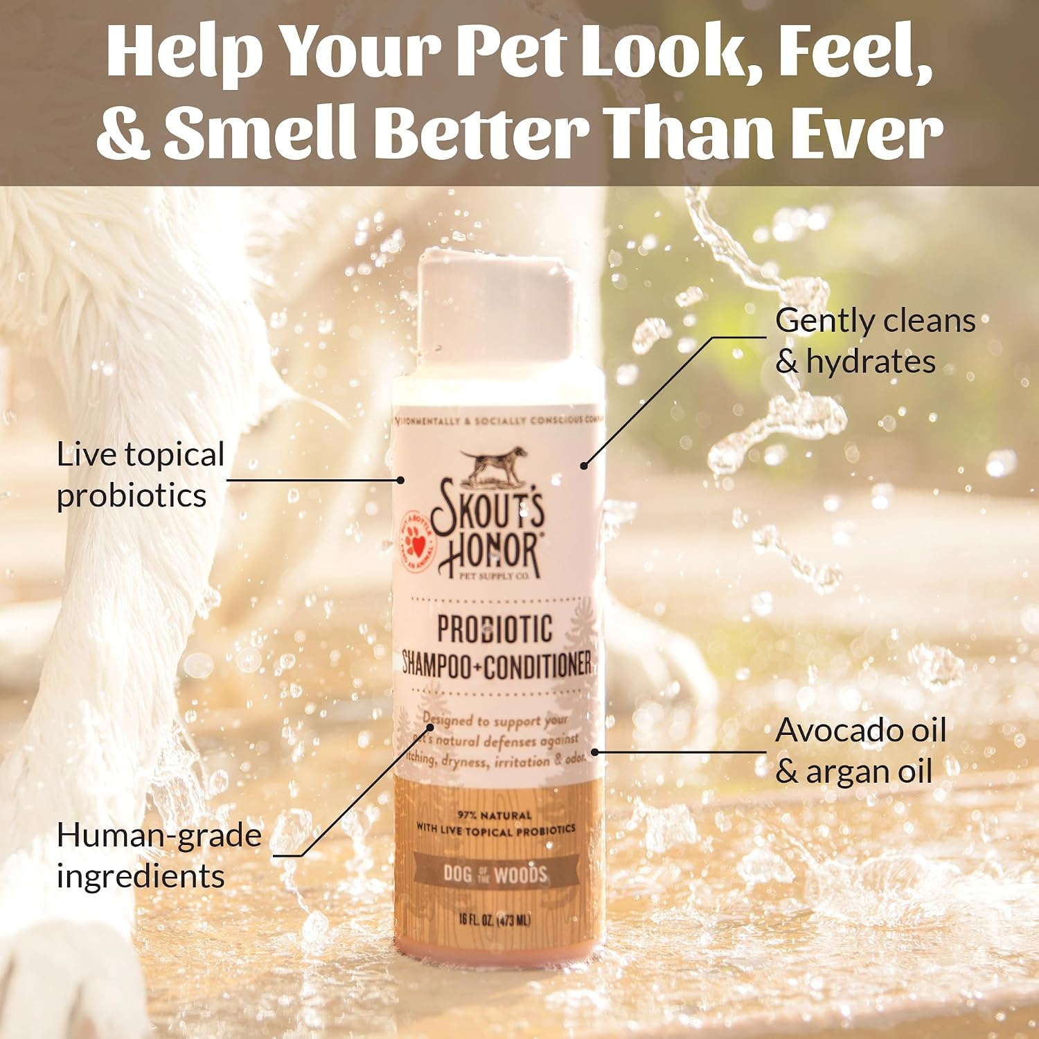 SKOUT'S HONOR Probiotic Dog Shampoo and Conditioner - DOTW, 16 oz | Hydrating Natural 2-in-1 for Itchy Skin, Microbiome-Friendly with Avocado Oil & Omega-3s, Paraben & Sulfate-Free