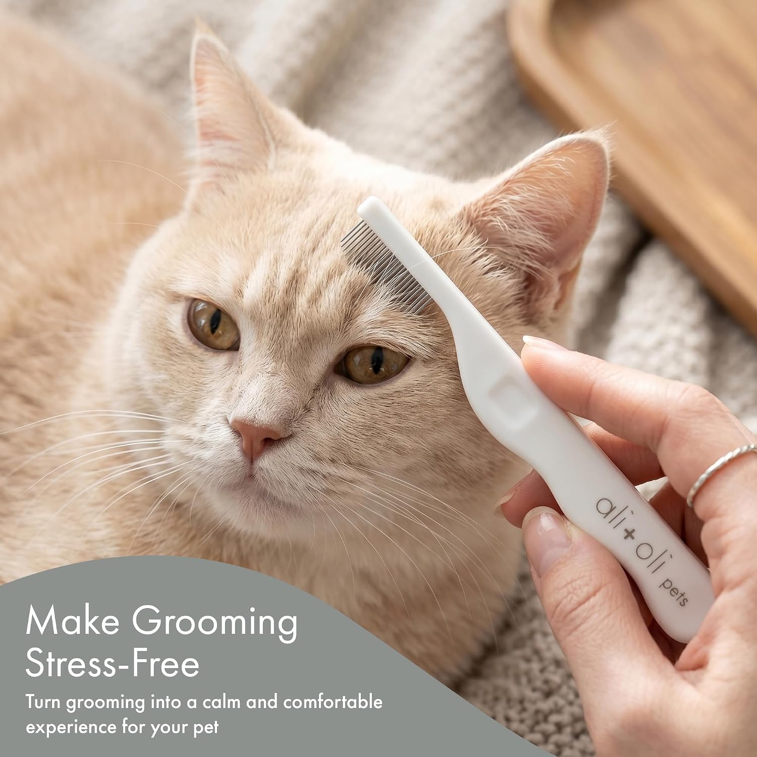 Ali+Oli Pets Eye Comb for Dogs & Cats – Fine Tooth Tear Stain Remover Comb – Pet Face Grooming Comb for Removing Eye Gunk, Debris & Tear Stains