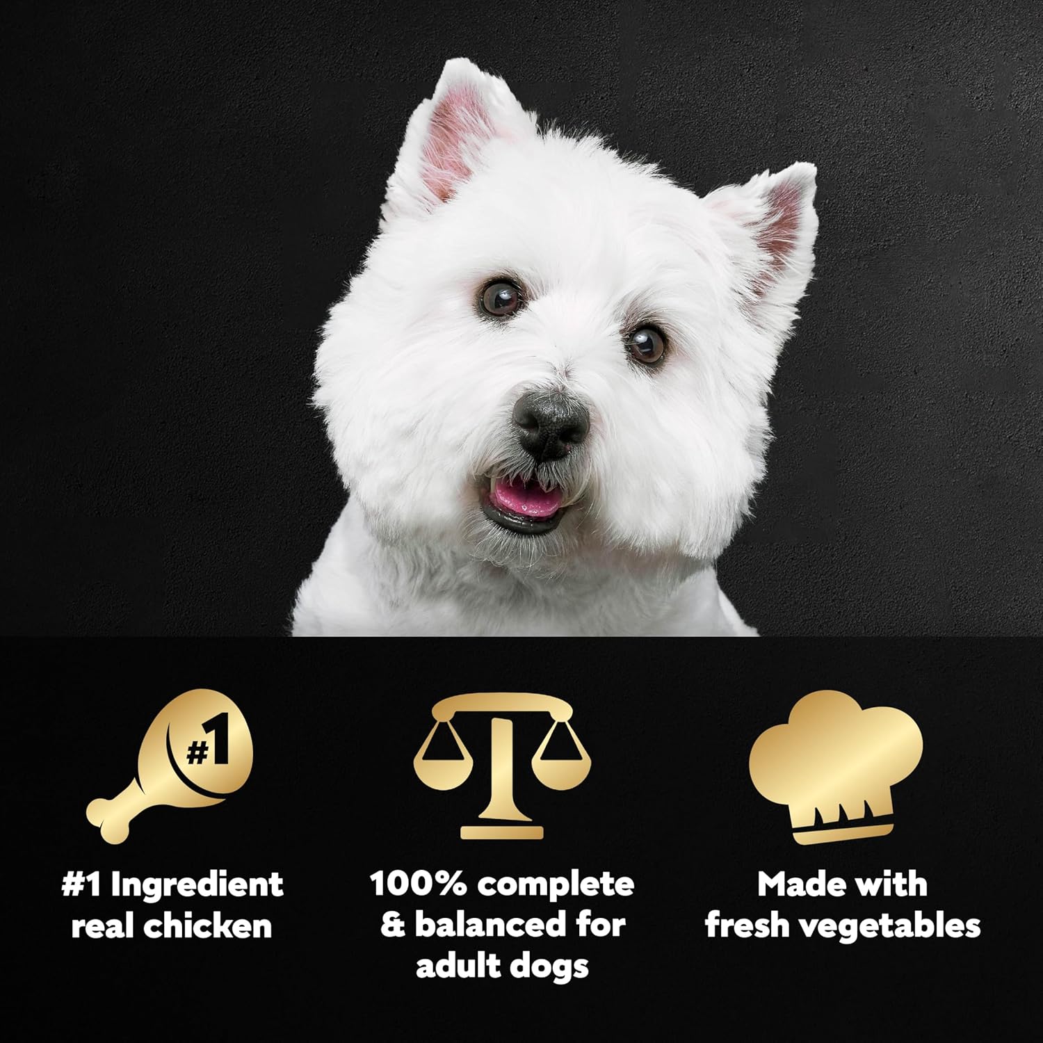 Cesar Wholesome Bowls Wet Dog Food, Chicken & Apple, 3 oz, 10 Count | Real chicken #1 ingredient, slow-cooked, 9 key ingredients, no by-products or artificial flavors, easy to digest
