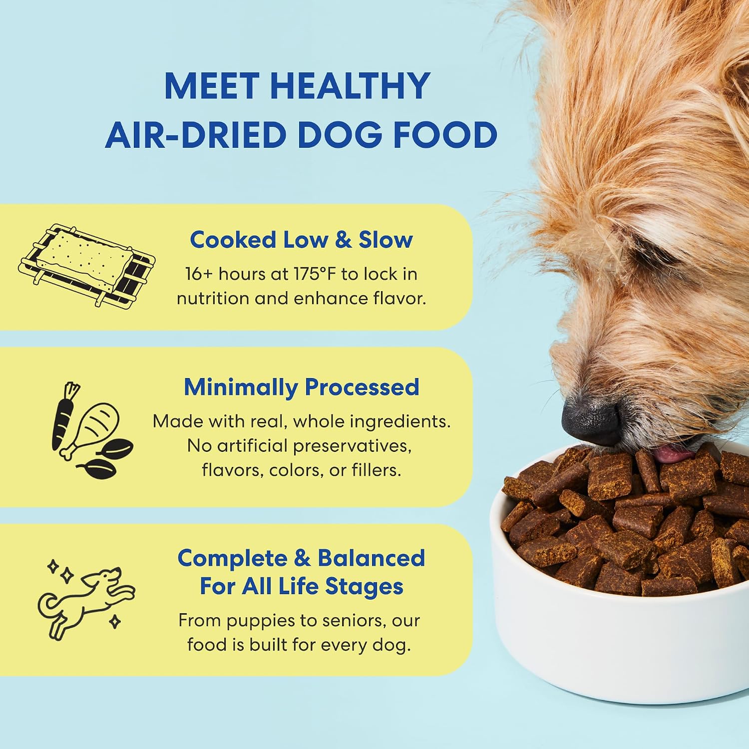The Pets Table Beef & Berries Grain-Free Air Dried Dog Food, 1 lb (16 Oz) Bag