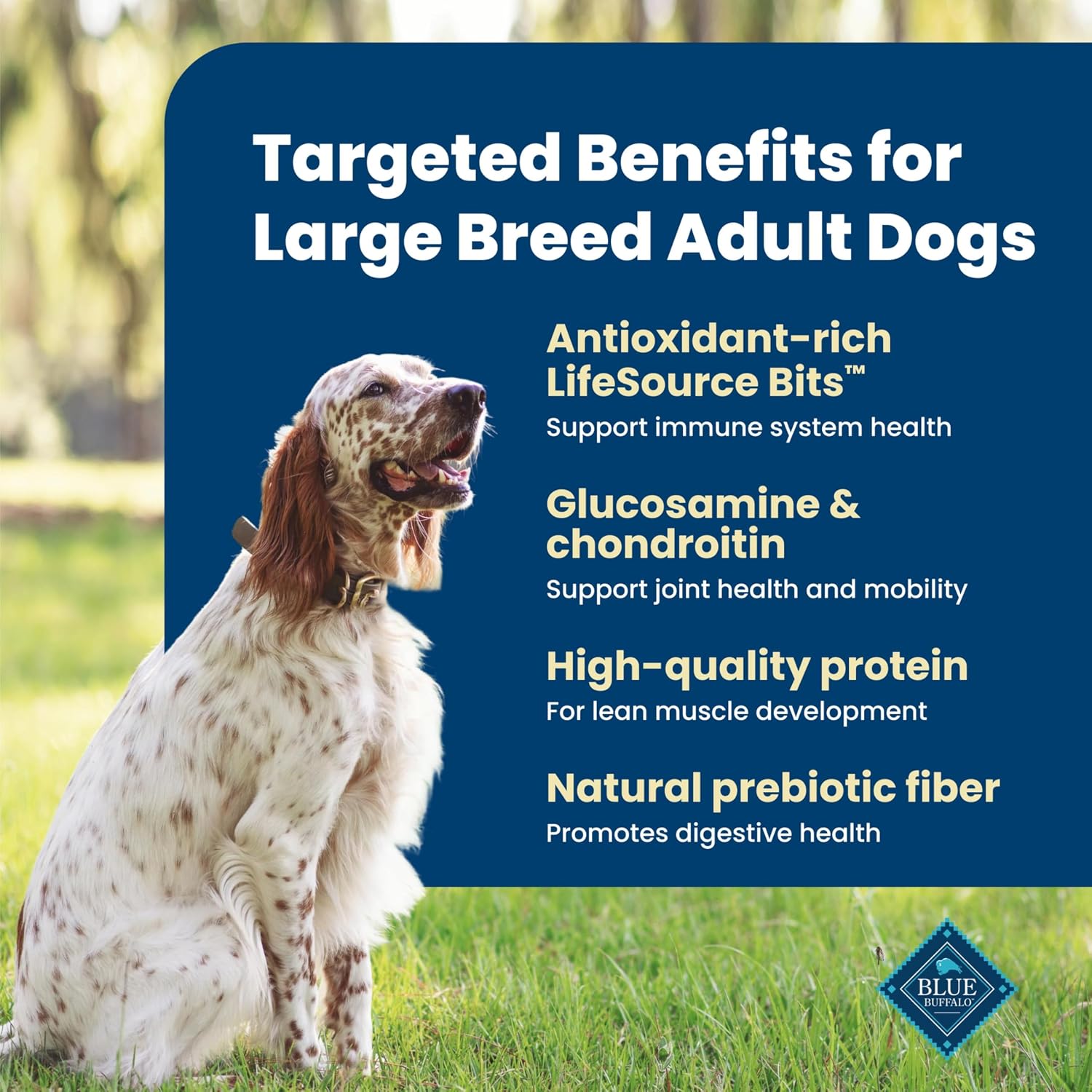 Blue Buffalo Life Protection Formula Chicken Large Adult Dog Food, 34 lb | Real Chicken #1 Ingredient, Antioxidant-Rich LifeSource Bits, Glucosamine Supports Joint Health & Mobility in Large Breeds