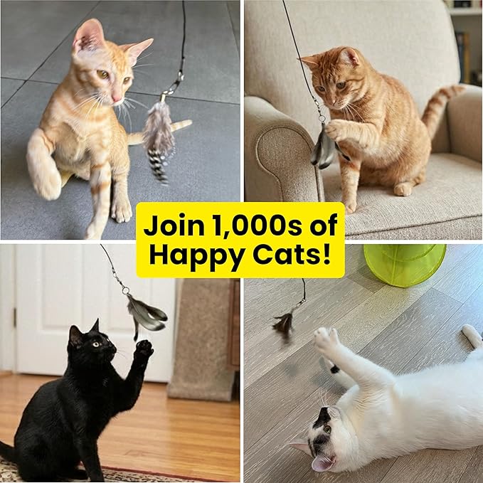 Feather Toys Replacements (9 Pc) - Cat Toys & Kitten Toys for Indoor Kittens, Set of Replacement Feather Attachments Extra Small and Durable, for Cat Wands, Natural and Safe, Cat Lures
