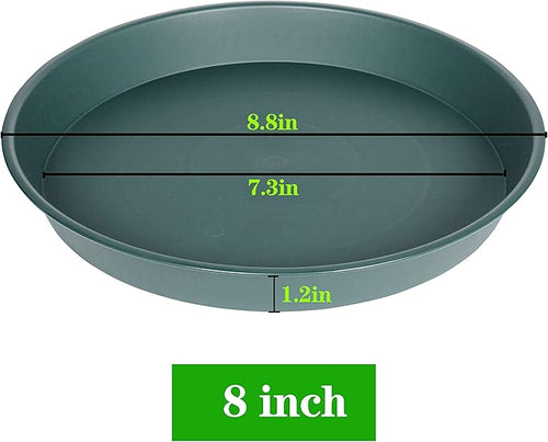 2 Pack of 8 inch Plant Saucer Clear, Heavy Duty Plastic Plant Water Tray 8 inch Round, Flower Plant Saucers for Indoors No Holes, Plant Dishes Saucer for Planter 7"/8" (8", Green)