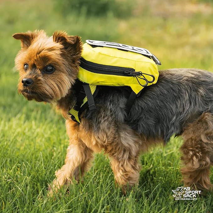 K9 Sport Sack Walk-On - Small, Sunset Orange - Ideal for Dogs with 13-16” Back Length - Lightweight, Packable, Backpack-Style Carrier - Includes Compatible Harness & Storage Bag