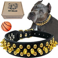 TEEMERRYCA Black Leather Dog Collar with Gold Spikes for Male Small Medium Large Pets, Pit Bulls/Bulldog, Keep Dog Safe from Grabbing by Huge Dogs, M(12"-15")