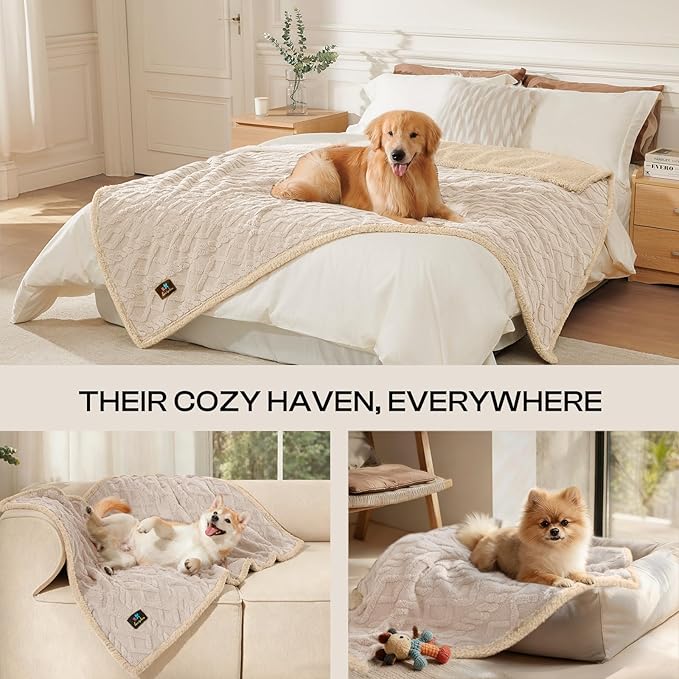 Luciphia Waterproof Pet Blanket, Liquid Pee Proof Dog Blankets for Sofa Bed Couch, Reversible Sherpa Fleece Furniture Protector Cover for Small Medium Large Dogs Cats,Beige-Thicken Large（65" x 57"）