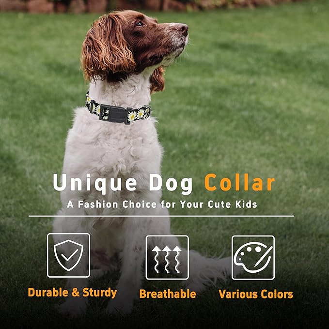 Dog Collar, Daisy Boys Girls Puppy Collar for Small Medium Large Dogs, Adjustable Soft Floral Pet Collar with Safety Buckle for Male Females(Black Daisy,L)