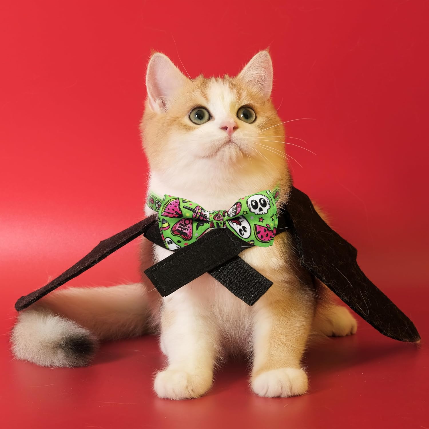 2 Pack Halloween Cat Collar Breakaway Collars with Bow Tie and Bell, Ghost Prints Safety Breakaway Buckle Soft Nylon for Boys and Girls Kitties Kittens