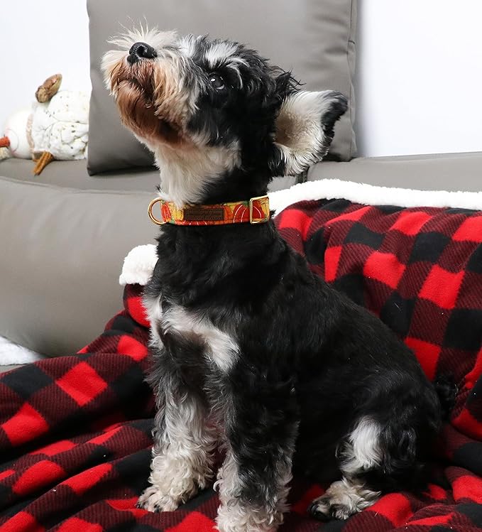 Unique style paws Halloween Dog Collar Metal Buckle Orange Pumpkin Collar Gift Durable Cute Collar for Small Medium Large Boys Girls Dogs