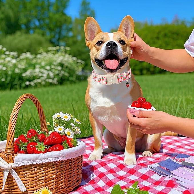 Cute Spring/Summer Dog Collar, Adjustable Pink Strawberry Dog Collars for Medium Dogs, Lightweight Quick-Release Buckle Collar for Boy&Girl Dogs M