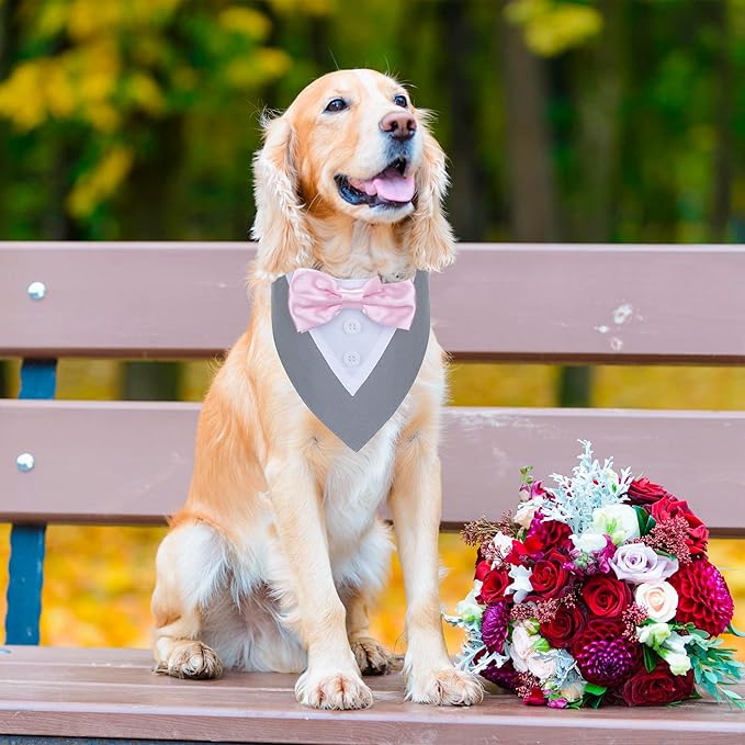 ADOGGYGO Formal Dog Tuxedo Wedding Pet Bandana Collar with Bowtie, Adjustable Birthday Wedding Formal Tux Costumes for X-Small Pets (XS, Grey)