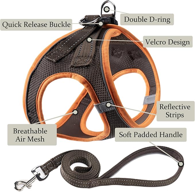 Dog Harness with Leash Set, No Pull Adjustable Reflective Step-in Puppy Pet Vest Harnesses for Small Medium Large Dogs and Cats,Brown XXS