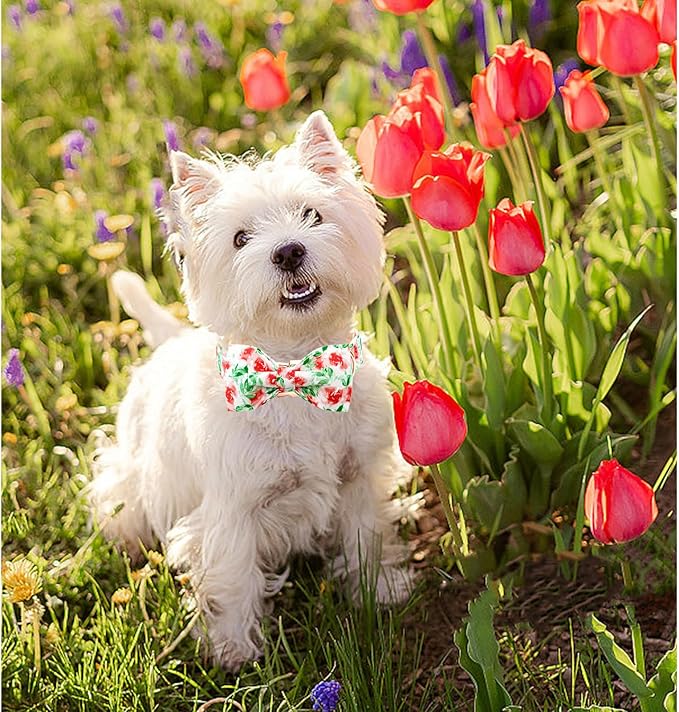 Lionheart glory Dog Collar Bow Collar Floral Dog Collar with Bow Tie Spring Summer Cute Collar Dog Boy or Girl Dog Collars Soft Durable Adjustable Dog Collars for Medium Dogs