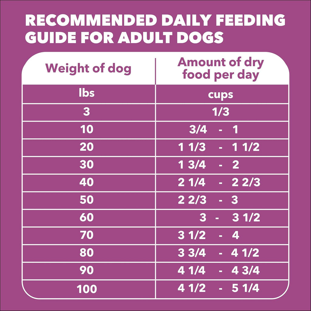 IAMS Proactive Health Healthy Aging Dry Dog Food, Chicken, 5 lb | Veterinarian-recommended, DHA Gold for mental & visual sharpness, Vitamin E & Beta Carotene, real chicken #1 ingredient