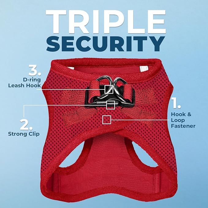 Best Pet Supplies Voyager Step-in Air All Weather Mesh Harness and Reflective Dog 5 ft Leash Combo with Neoprene Handle, for Small, Medium and Large Breed Puppies - Set (Red), XXXS