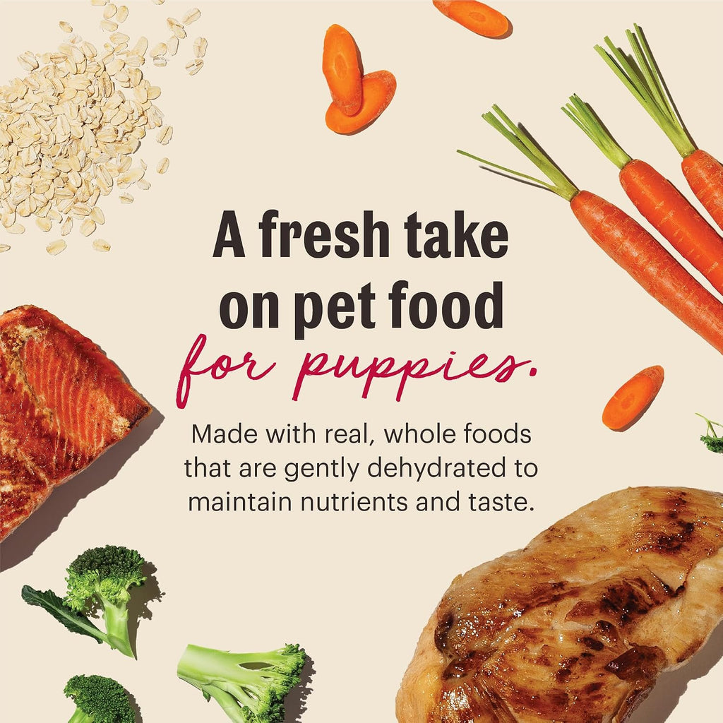 The Honest Kitchen Human Grade Wholemade™ Whole Grain Chicken & Salmon Dehydrated Puppy Dog Food, 2lb Bag (Makes 8lbs)