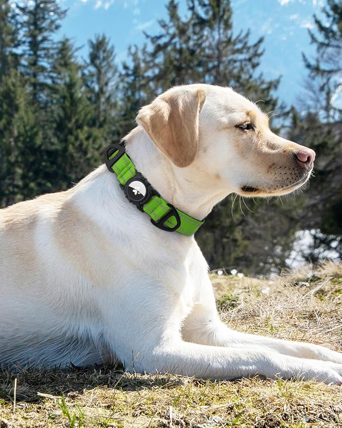 Joytale Airtag Dog Collar, Reflective Pet Collar with Waterproof AirTag Holder, Dual D-Rings, Soft Padded Adjustable for Extra Large Dogs, Green, XL