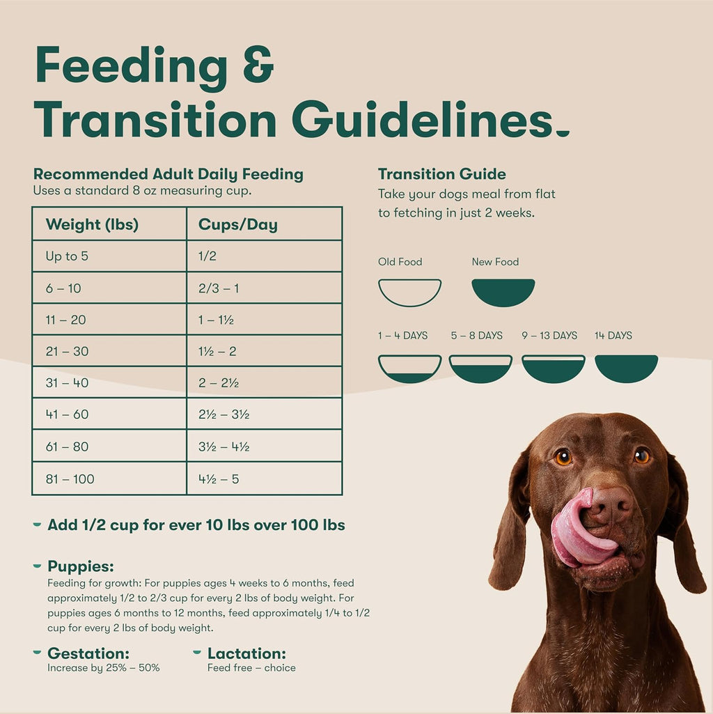 Jinx Grain Free Dry Dog Food - Real Salmon, Sweet Potato & Carrot, 30lb | Premium Kibble for Digestive Support & Healthy Immunity - No Fillers, All Lifestages (Puppy, Adult & Senior), Breeds & Sizes