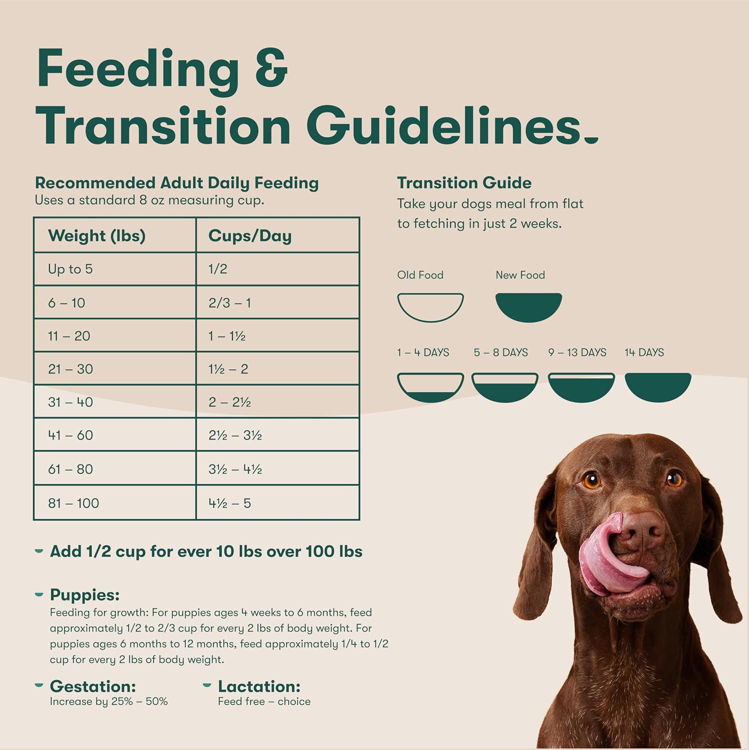 Jinx Grain Free Dry Dog Food - Real Salmon, Sweet Potato & Carrot, 30lb | Premium Kibble for Digestive Support & Healthy Immunity - No Fillers, All Lifestages (Puppy, Adult & Senior), Breeds & Sizes