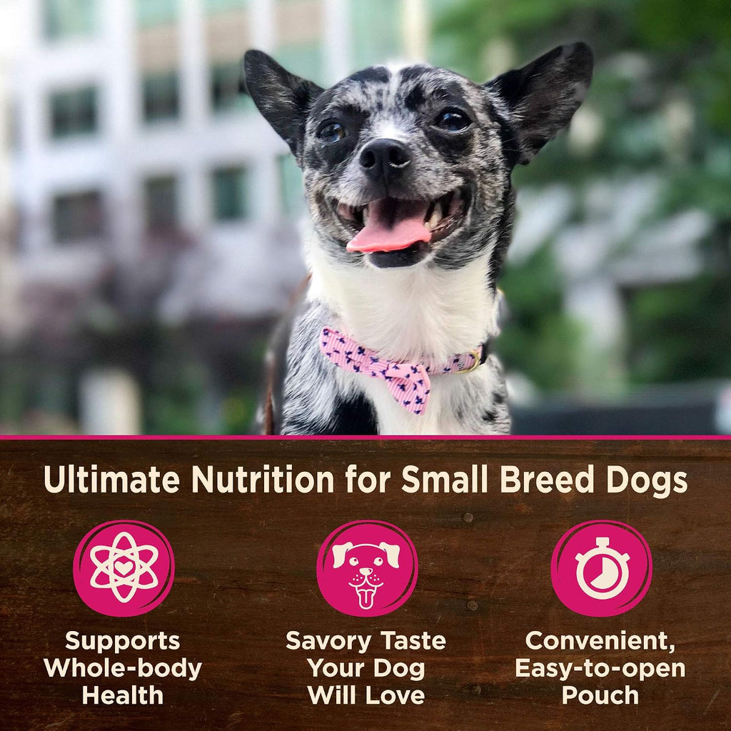 Wellness CORE Small Breed Mini Meals Shredded Variety Pack Adult Wet Dog Food, Grain Free, Natural, 3 oz, Pack of 12