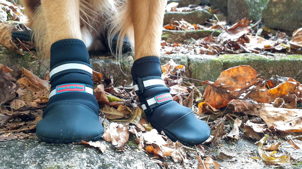All Weather Neoprene Paw Protector Dog Boots with Reflective Straps in 5 Sizes! (XXL (4.5x4.5 in.))