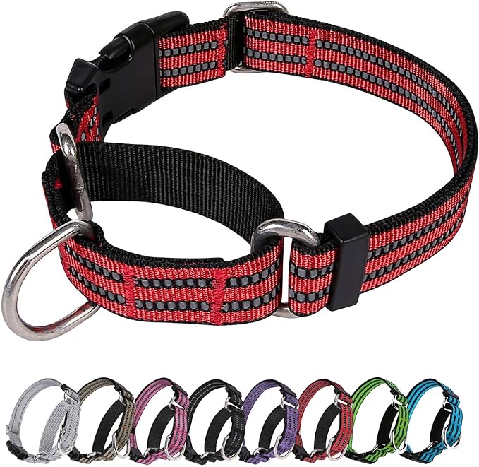 Martingale Dog Collar, Adjustable Nylon Reflective Collar with Buckle No Pull Dog Collar for Small Medium Large Dogs (Red S)