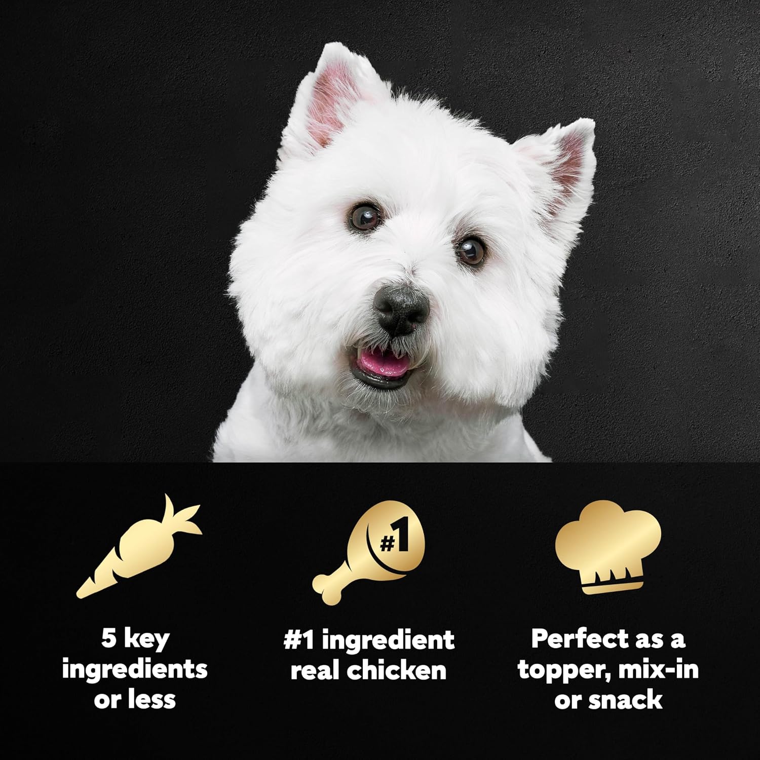 Cesar Simply Crafted Wet Dog Food Toppers, Chicken, 1.3 oz, 10 Count | Real chicken #1 ingredient, no by-products or artificial flavors, slow-cooked, easy to digest, single-serve tubs