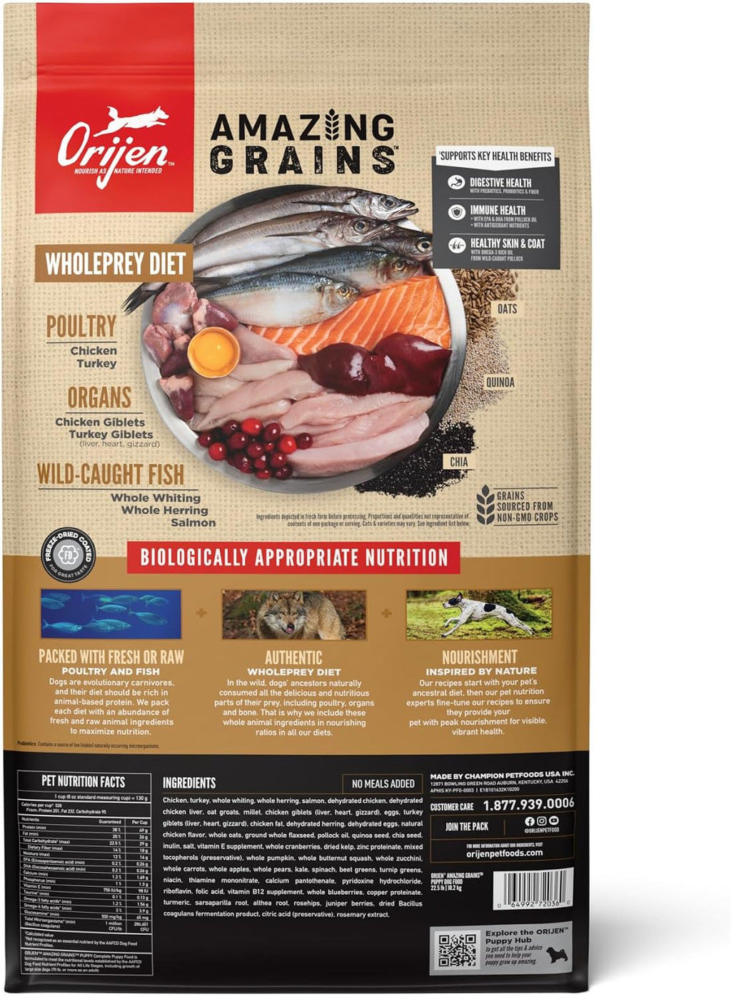 ORIJEN Amazing Grains WHOLEPREY Dry Dog Food Puppy Recipe 22.5lb. Bag | WHOLEPREY Ingredients, Freeze Dried, Fresh or Raw Ingredients, Non-GMO Ingredients, High Protein, Skin & Coat, Immune Support