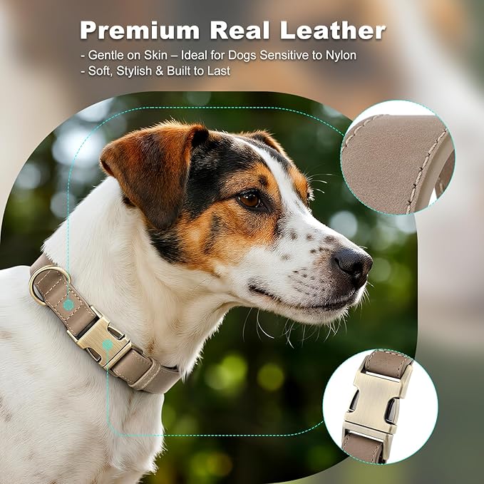 Plutus Pet Genuine Leather Dog Collar – Adjustable Pet Collar with Quick Release Metal Buckle, Soft Real Leather for Small Medium Large Dogs, Heavy Duty & Skin-Friendly (Ash Brown, L)