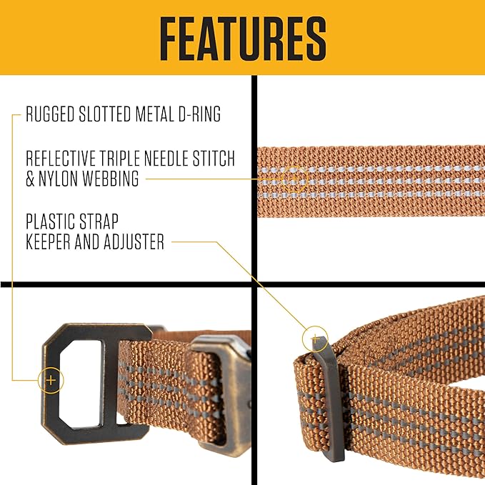 Carhartt Fully Adjustable Nylon Webbing Collars for Dogs, Reflective Stitching for Visibility, Black (Nylon Webbing), Large