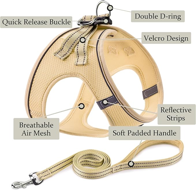 Dog Harness with Leash Set, No Pull Adjustable Reflective Step-in Puppy Pet Vest Harnesses for Small Medium Large Dogs and Cats,Beige XXS
