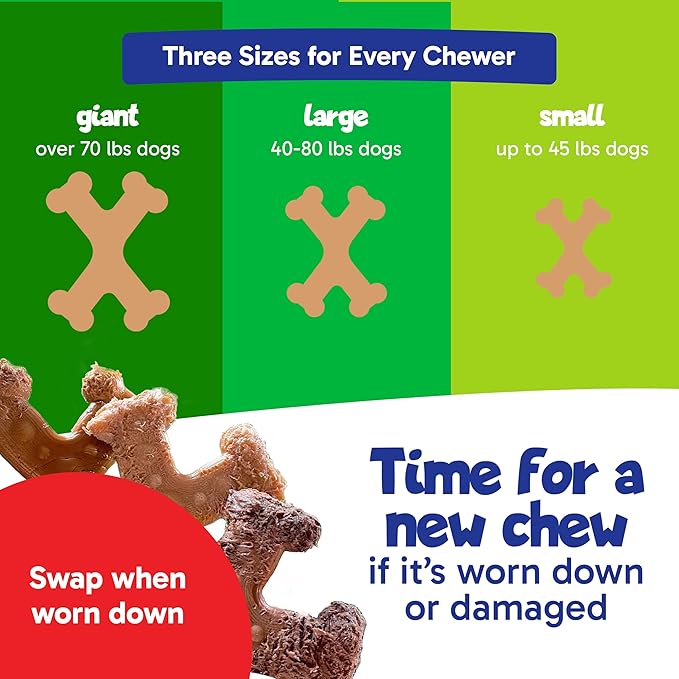 Chew’EMS X Bone Dog Chew Toy for Aggressive Chewers – Long-Lasting Chicken Flavor Nylon Bone – Durable, Rawhide-Free Dental Toy - Large Size – Made in USA