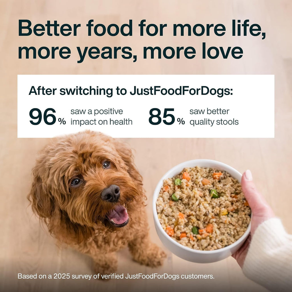 JustFoodForDogs JustFresh Fresh Sensitive Stomach Dog Food Pouches - 7 Pack | Shelf Stable Dog Food for Sensitive Stomachs, Human-Grade Turkey & Rice, Gentle Digestion, Gut Health Support, 12 Oz Pouch