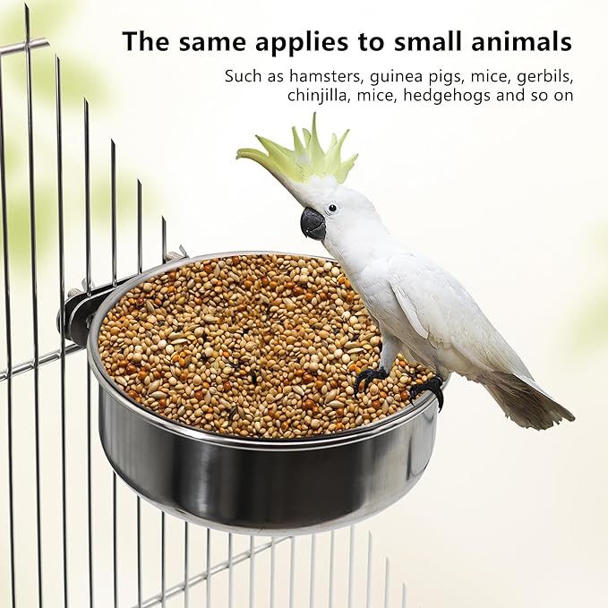 4 Pcs Small Bird Feeding Dish Cups,Parrot Food Bowl Cage with Clamp Holder Stainless Steel,Birdcage Coop Water Feeder for Cockatiel Parakeet Macaw Finches Lovebirds Small Animals (4 Pack, Small)