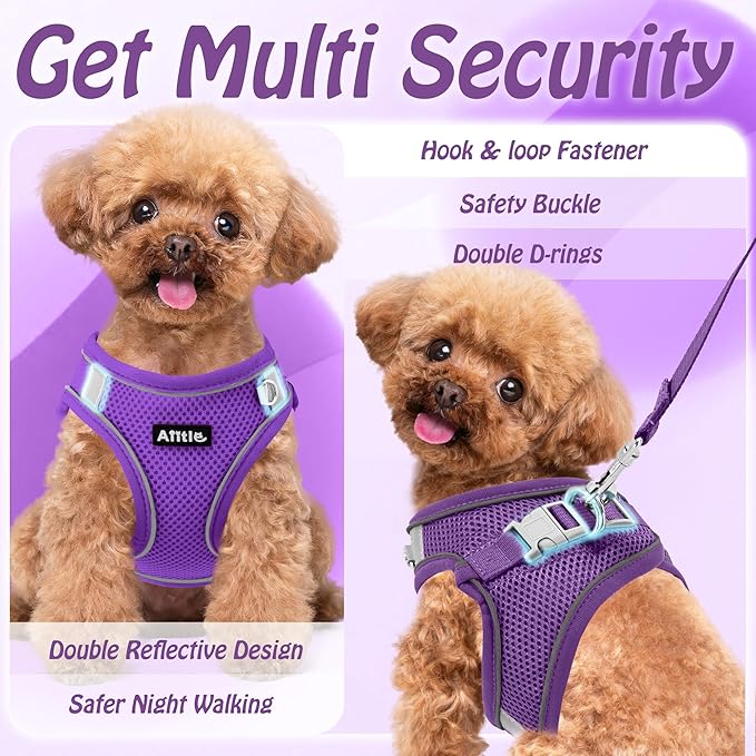 AIITLE Dog Harness, No-Pull Cat Harness with a Leash, Adjustable Reflective Dog Vest, Cat Harness Escape Proof, Outdoor Walking, Running,Training for Extra Small Dogs and House Cats Pure Purple XXXS