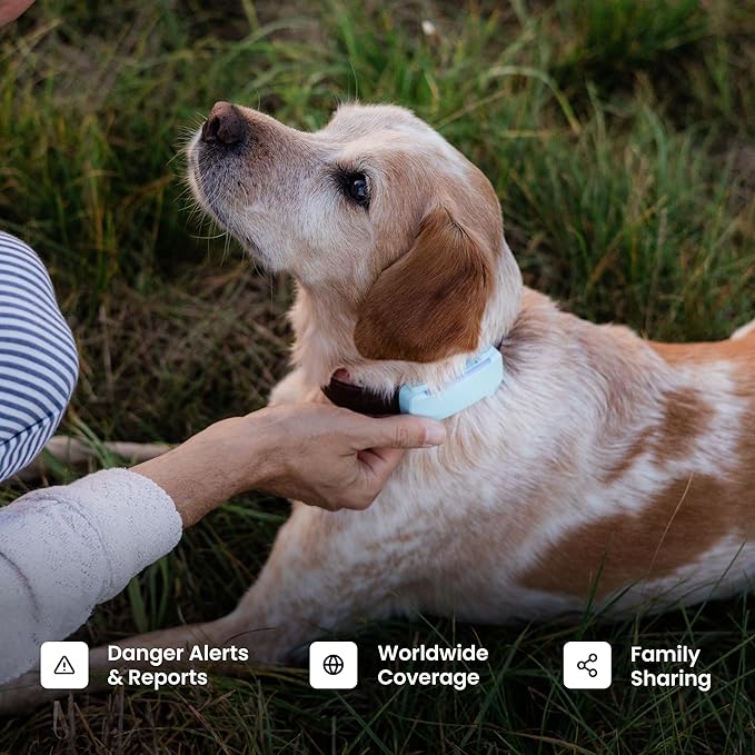 Tractive Smart Dog GPS Tracker | Live Pet Tracker with Virtual Fence | Vital Signs Monitoring of Heart & Respiratory Rate | Bark Monitoring | Dog Collar Attachment (Black)