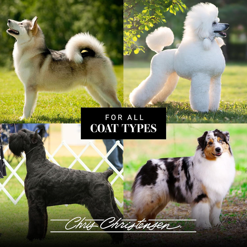 Chris Christensen Spectrum One Dog Shampoo, Coarse and Rough Coat, Groom Like a Professional, Maintain Crisp Texture, Will Not Dry Out Coat or Skin, Made in The USA, 16 oz