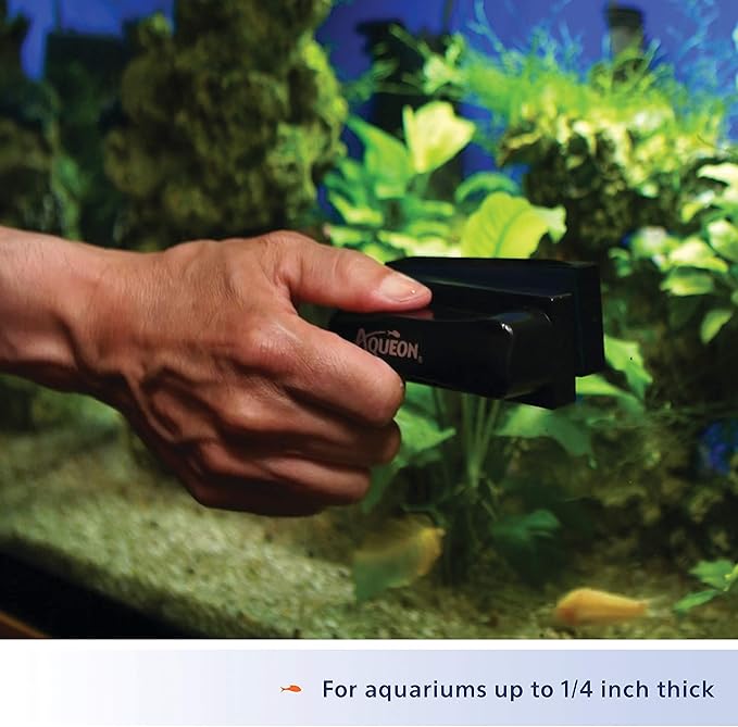 Aqueon Aquarium Algae Scraper, Fish Tank Cleaning Magnets for Glass/Acrylic, Small, Black