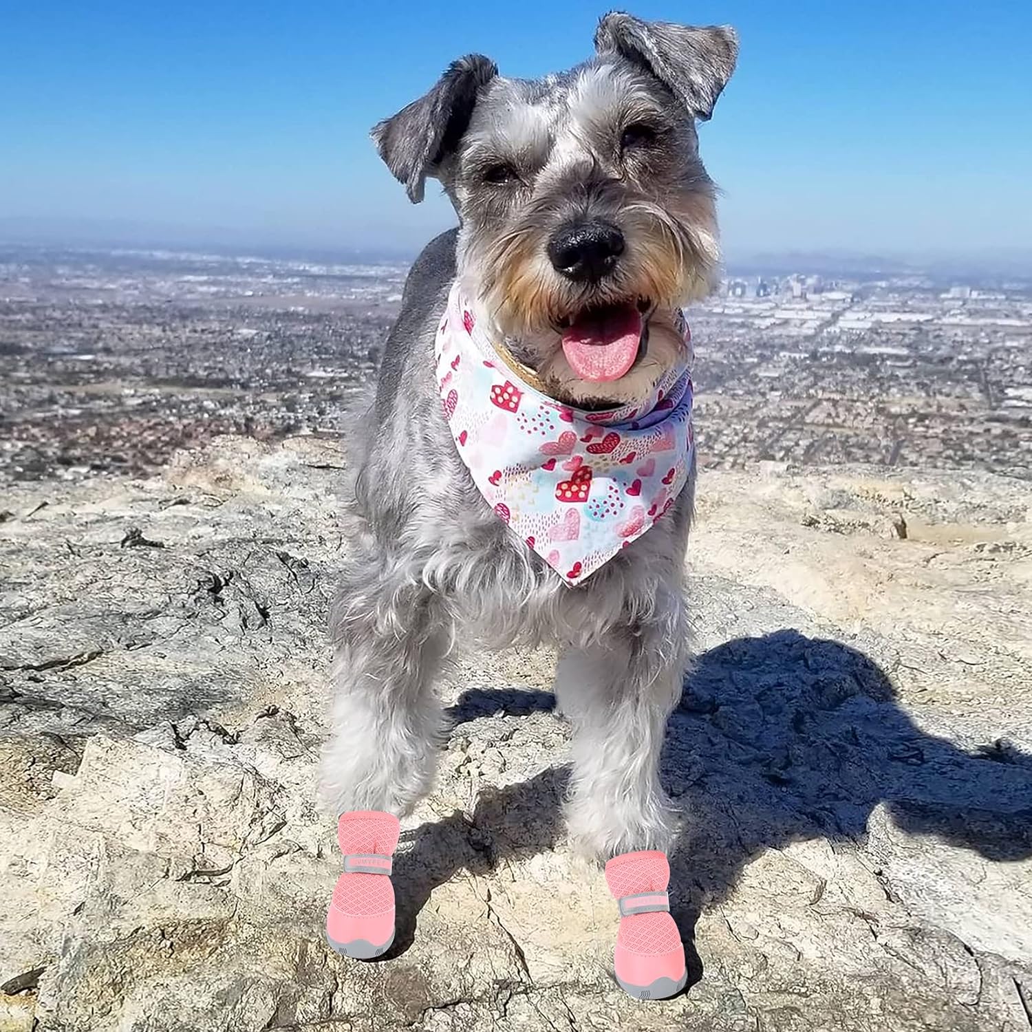 QUMY Dog Shoes for Small Dogs Hot Pavement Puppy Dog Boots & Paw Protectors | Small Medium Dog Summer Shoes, Soft Anti-Slip Rubber Sole, Mesh Breathable Dog Booties for Hardfloors, Walking Running Pink