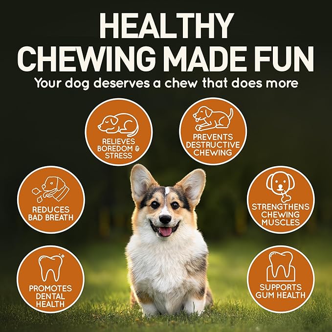 Wildfang® Olive Wood Chewing Sticks for Dogs, Large - Tough Chew Toys for Aggressive Chewers, Puppy Chew Toys for Teething, Training for Chewing Muscles, Olive Wood Stick for Dog (Over 55lbs)