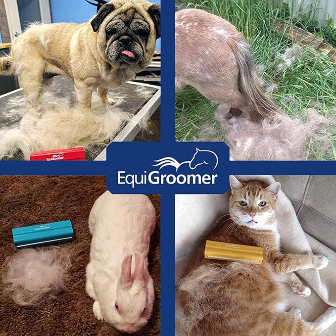 EasyGroomer Deshedding Brush for Dogs & Cats – Undercoat Grooming Tool for Short & Long Hair, Removes Loose Fur & Dirt, Reduces Shedding for Small & Large Pets, Blue