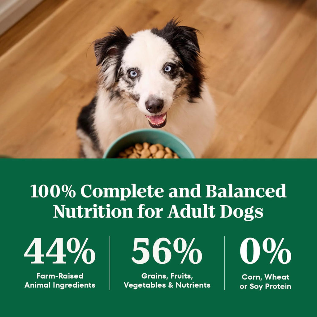Nutro Natural Choice Adult Dry Dog Food, Chicken & Brown Rice Recipe, 36 lb | Non-GMO, Real chicken #1 ingredient, no corn, wheat, soy or chicken by-product meal, supports skin & coat/digestion/immunity